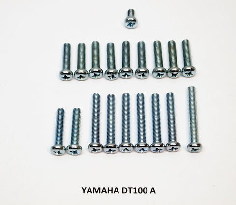 Yamaha DT100 Side Cover Screws
